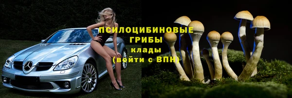 PSILOCYBIN Беломорск
