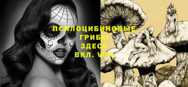 PSILOCYBIN Беломорск