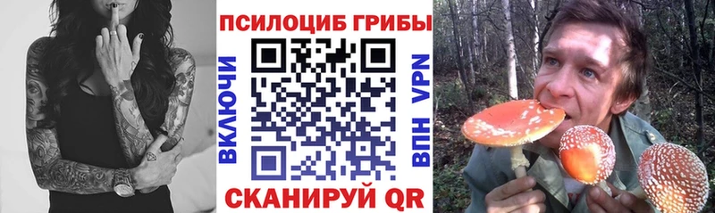 кракен как войти  Сегежа  Псилоцибиновые грибы GOLDEN TEACHER 
